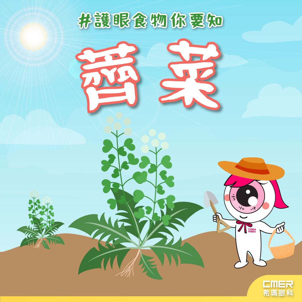#護眼食物你要知 #薺菜.png